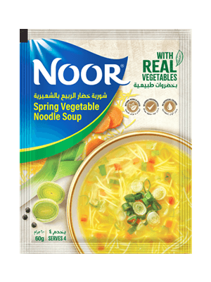 Spring Vegetable Noodle Soup